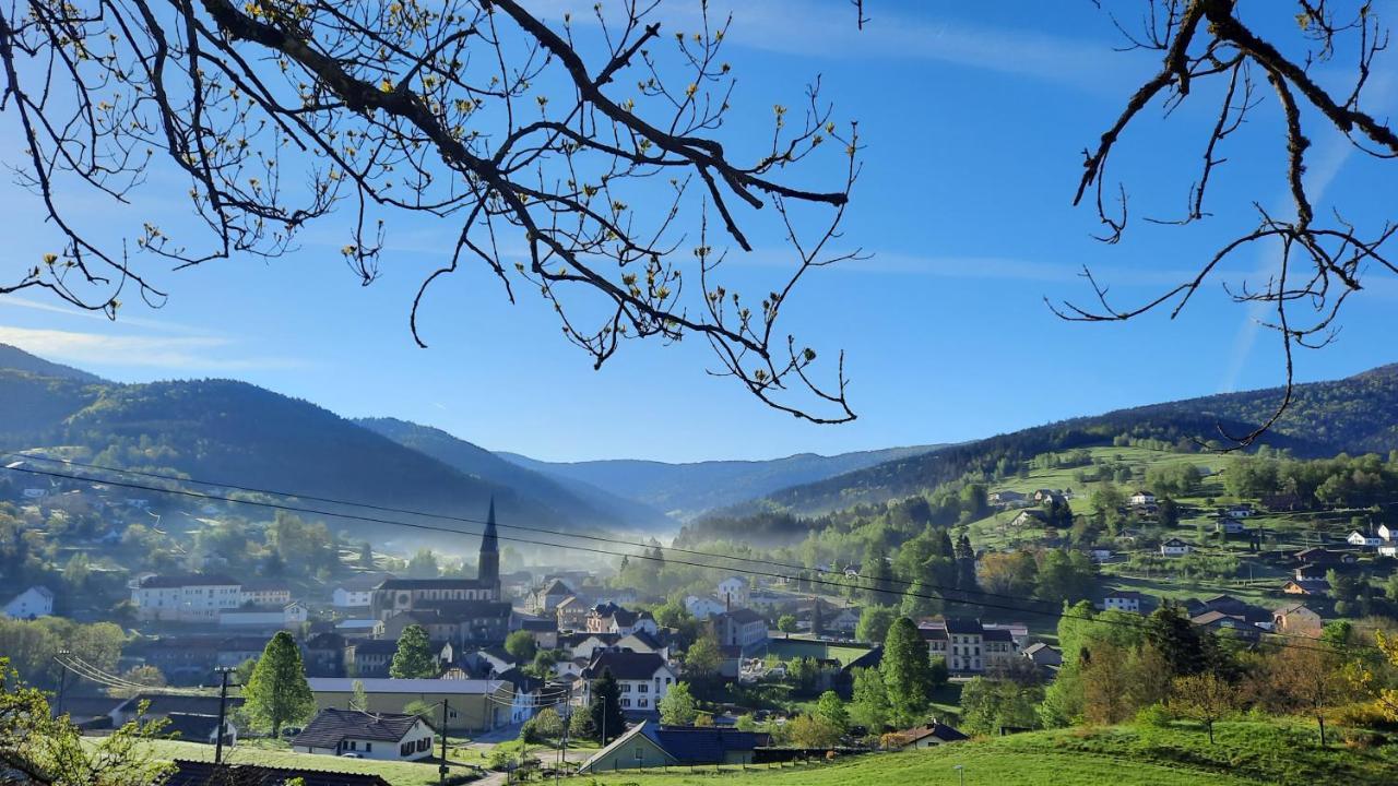 Gite Des 3 Jonquilles Saint-Maurice-sur-Moselle Exterior photo