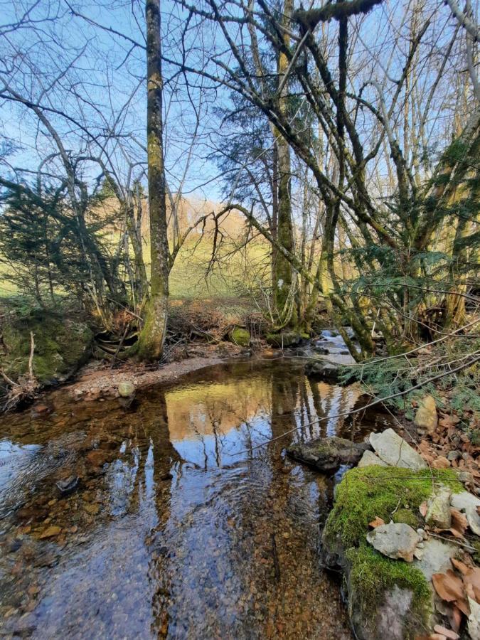 Gite Des 3 Jonquilles Saint-Maurice-sur-Moselle Exterior photo