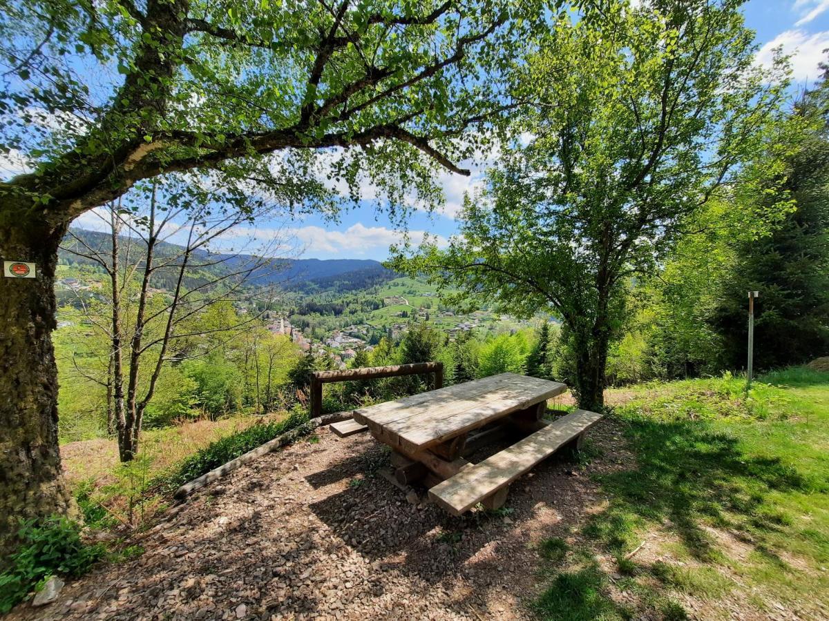 Gite Des 3 Jonquilles Saint-Maurice-sur-Moselle Exterior photo