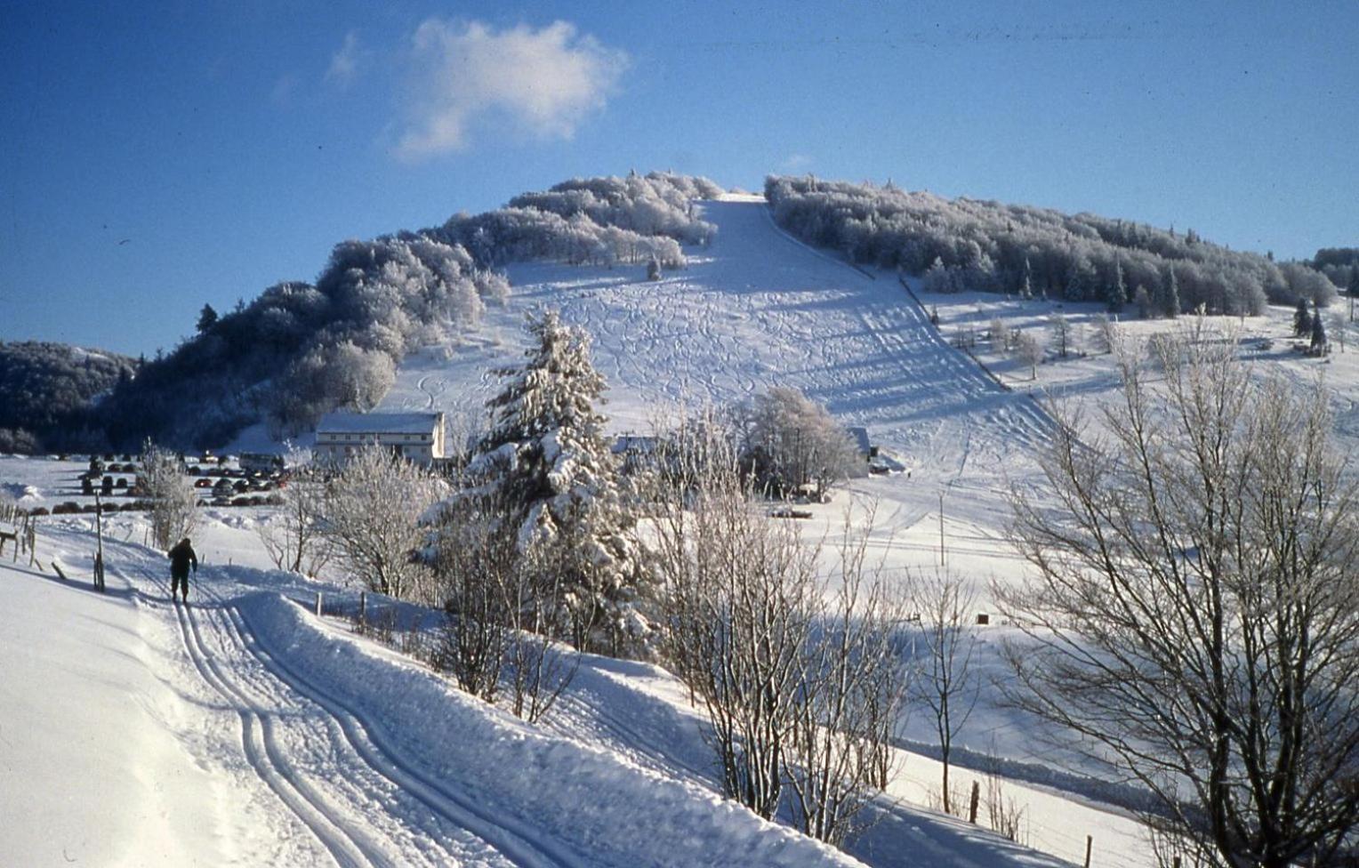 Gite Des 3 Jonquilles Saint-Maurice-sur-Moselle Exterior photo